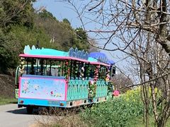 -苏州上方山国家森林公园