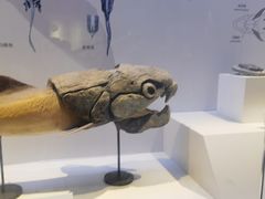 -重庆自然博物馆(新馆)