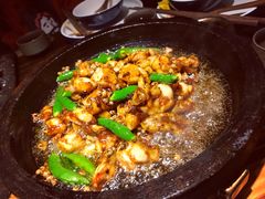 田鸡-绿茶餐厅(乐峰广场店)