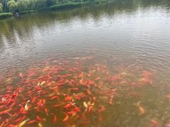 -燕郊植物园