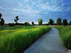 -汉长安城未央宫国家考古遗址公园