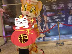 -珠海横琴长隆《卡卡虎奇遇记》