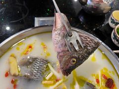 -草墩罗非鱼庄•野生菌•腊排骨(七星街上段店)