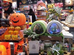 -酷乐潮玩(城西银泰城店)