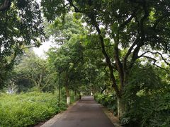 -张坝桂圆林公园