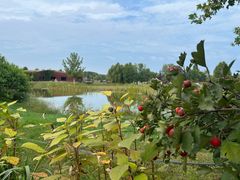 -圣露庄园·露营·烤肉·亲子