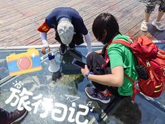 -黑瞎子岛探秘野熊园