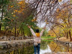 -圆明园遗址公园-藻园门售票处