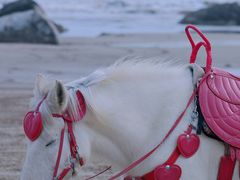 -南澳海滩