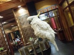 -那家小馆•北京菜•烤鸭(香山店)