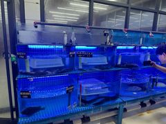 -老太太海鲜城(森林公园任家台店)