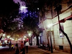 -巴厘龙虾·榜首油焖大虾(洞庭·艺术洋房店)