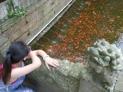 -普陀山风景名胜区-法雨禅寺