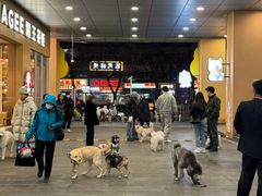 -开元商城(西旺店)