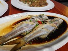 -梅子大排档
