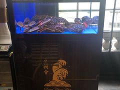 水产区-皇朝会.经典传统粤菜(外滩店)