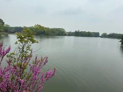 -苏州太湖国家湿地公园