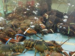 -香融府·烤鸭·家常菜(马家堡路店)
