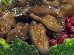 -顺德了能馆(虎门店)