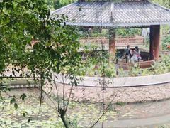 -亚龙湾热带天堂森林公园