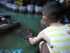 -重庆欢乐海底世界