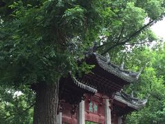 -汇龙潭
