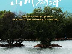 -百里天路