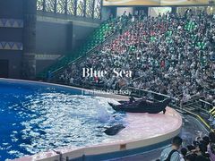 -珠海长隆海洋王国