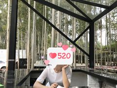 -桉树林A coffee 森林餐厅(三圣乡店)
