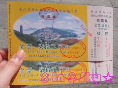 -普陀山佛顶山索道