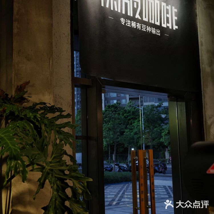 城市咖啡角落随性一刻🐢与保安室巨型龟的午后