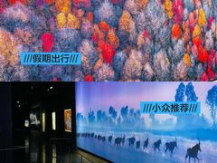 -罗红摄影艺术馆