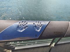 -星光大道