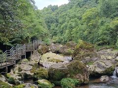 -龙苍沟森林公园