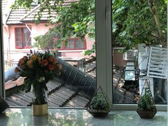 -蝶舍·MAISON PAPILLON