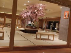 -大江户·温泉洗浴(浑南店)