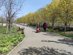 -东郊湿地公园