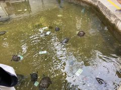 -红螺寺