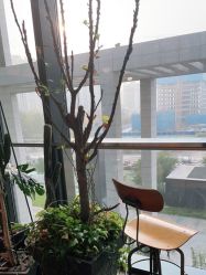 -THE BARN大屋理发馆