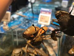 -盒马鲜生(曜一城店)