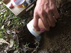 -瑞派申生动物医院·24H夜诊·国际动物医疗中心·骨外科(吴中路店)