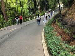 -神光山国家森林公园