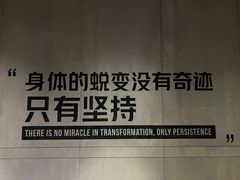 -威尔仕健身(杭州万象城店)