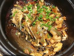 -金龙寨(解西店)