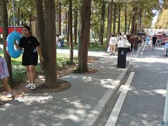 -日照海滨国家森林公园