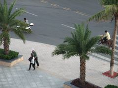 早餐厅外的风景-黎客国际酒店