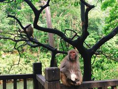 -黔灵山公园-南门售票处