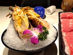 -海月轩海鲜豆捞(紫金塔店)