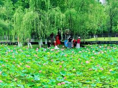 -沐仙湖湿地公园