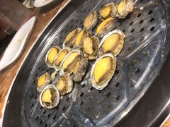 鲍鱼-船奇蒸汽海鲜·闽菜(八市海鲜总店)
